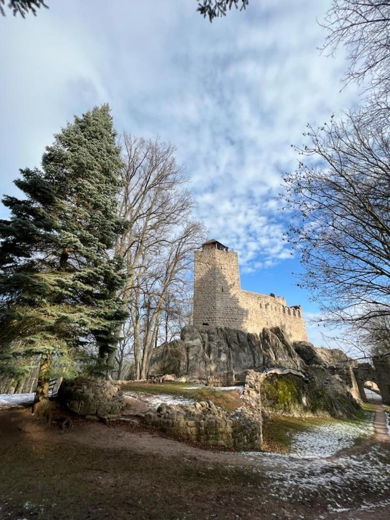 Bonne Idee - Suite Georgette - Meuble De Tourisme 3 Etoiles Châtenois Exterior foto